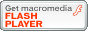 ������� Adobe Flash